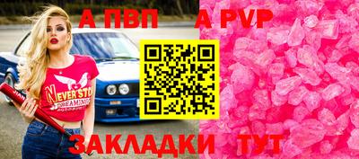 эйфоретик Тара