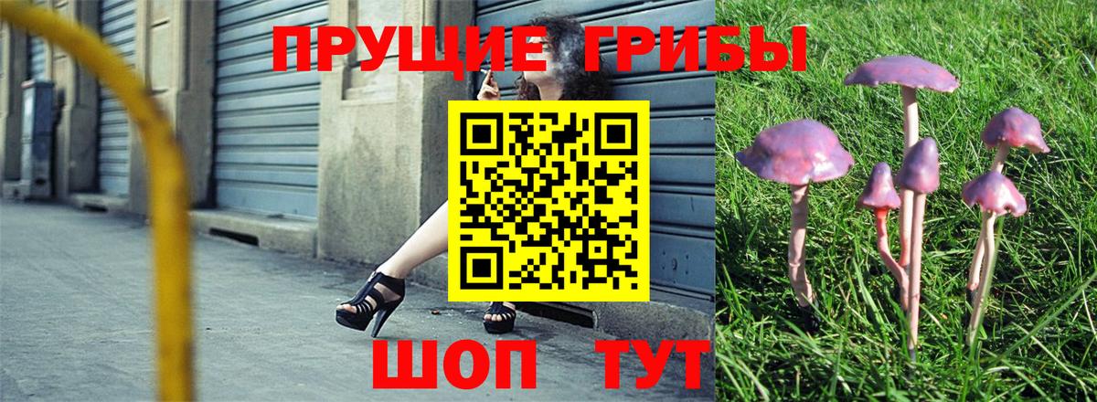 Псилоцибиновые грибы мицелий Нерюнгри