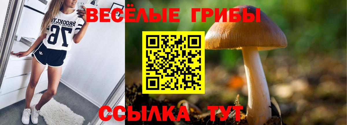 Нерюнгри  Псилоцибиновые грибы мицелий  Вход с VPN  Псилоцибиновые грибы Psilocybe 